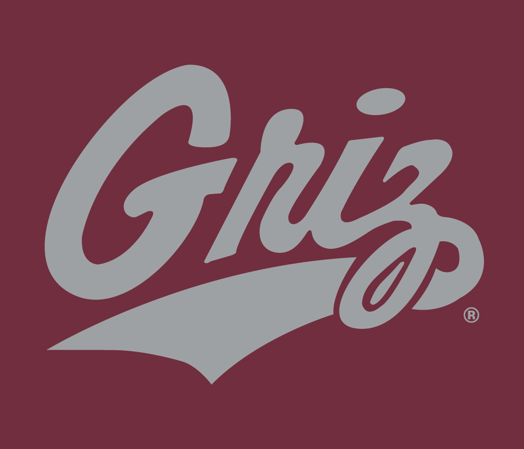 Montana Grizzlies 1996-Pres Alternate Logo v6 DIY iron on transfer (heat transfer)